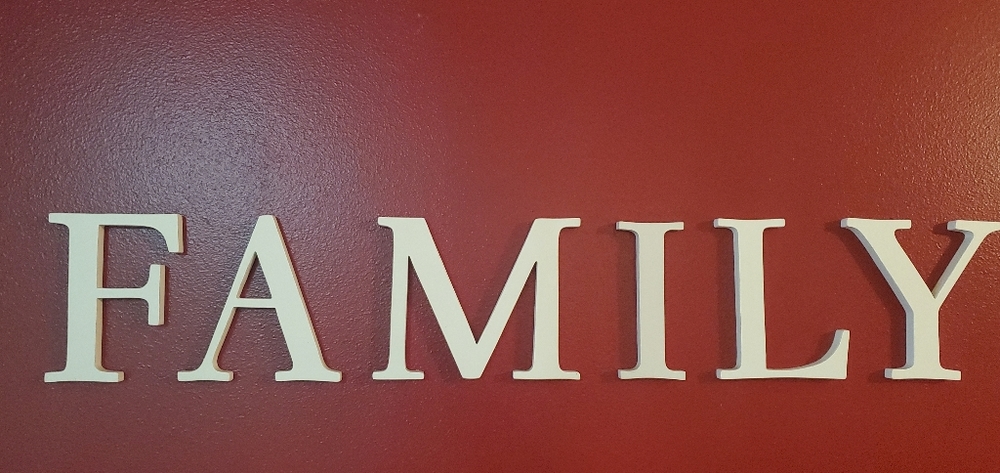 Pottery Barn 'FAMILY' set of letters.